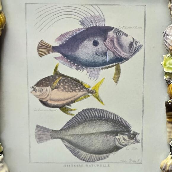 Sanibel Austrian Crystal by Two's Company Seashell Encrusted 5x7 Picture Frame - Picture 2 of 13